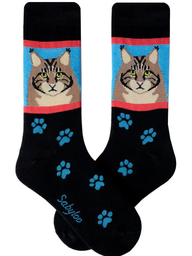 Maine coon cat men - coon, crew