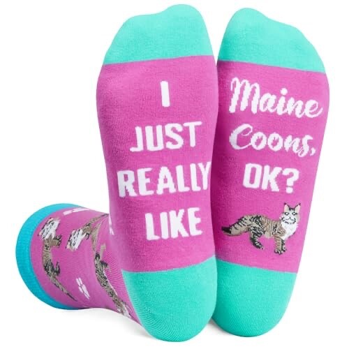 Maine coons cat - coons, socks