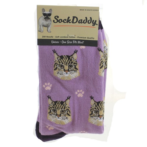 25in maine coon cat - maine, sock
